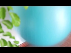 পিভিসি এক্সপ্লোশন প্রুফ ফিটনেস 45সেমি ইয়োগা বল উইথ এয়ার পাম্প এক্সারসাইজ বল এক্সারসাইজ ইকুইপমেন্ট ইয়োগা বল